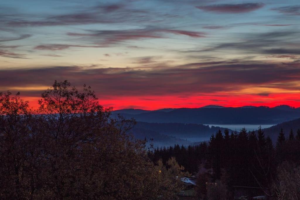 Apartment Bavaria Mitterfirmiansreut Dış mekan fotoğraf