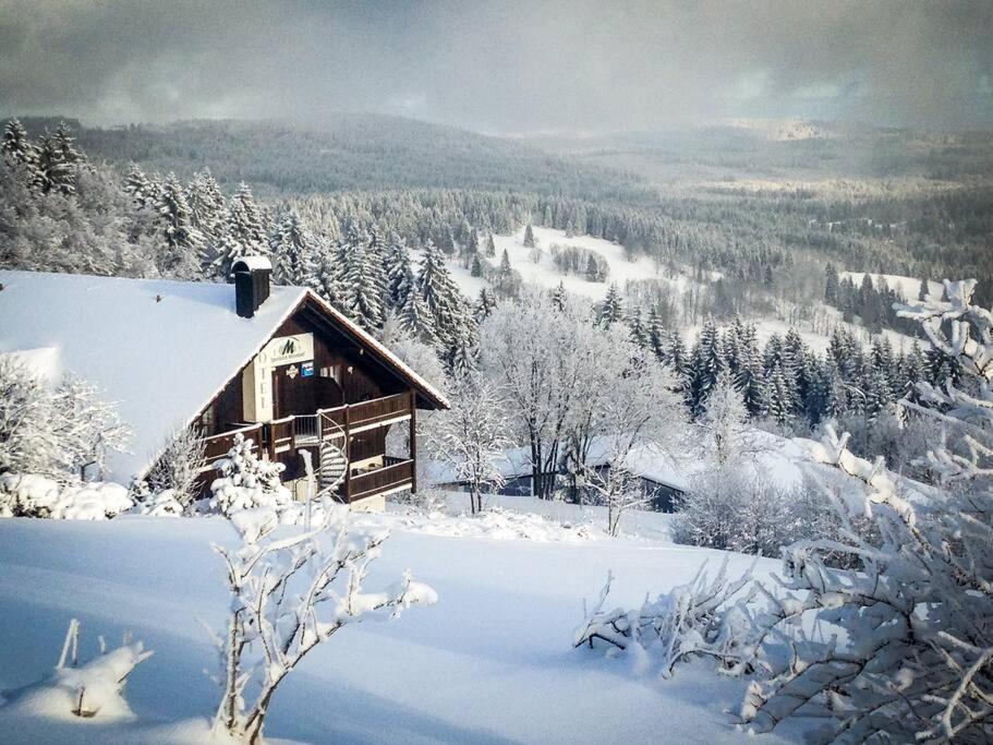 Apartment Bavaria Mitterfirmiansreut Dış mekan fotoğraf